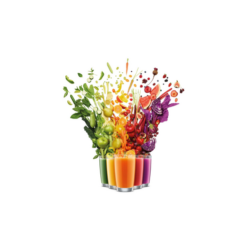 Breville THE JUICE FOUNTAIN® JE95