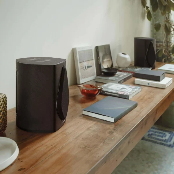Sonus Faber | Duetto